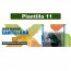 Plantilla Nº 11